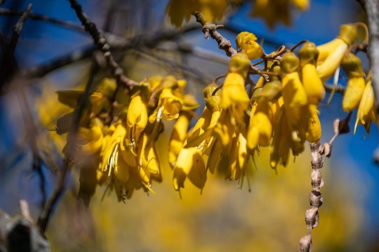 Photo of property in 23 Rangihiroa Street, Waikanae Beach, Waikanae, 5036