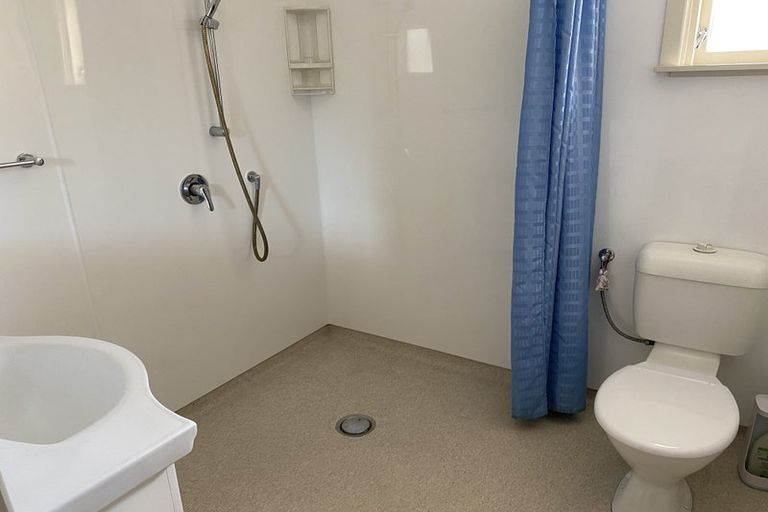 Photo of property in 101 Brookfield Street, Hamilton East, Hamilton, 3216