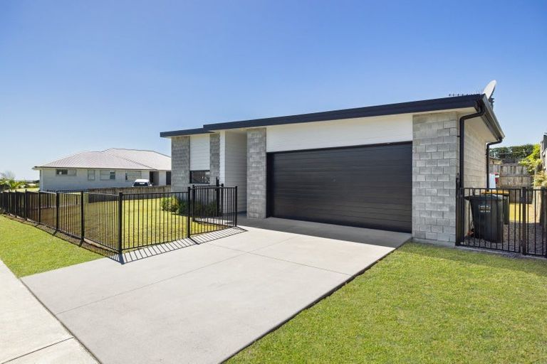 Photo of property in 74 Tynan Street, Te Puke, 3119
