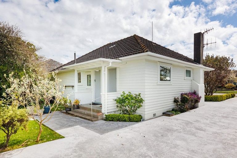Photo of property in 67 Guy Avenue, Takaro, Palmerston North, 4410