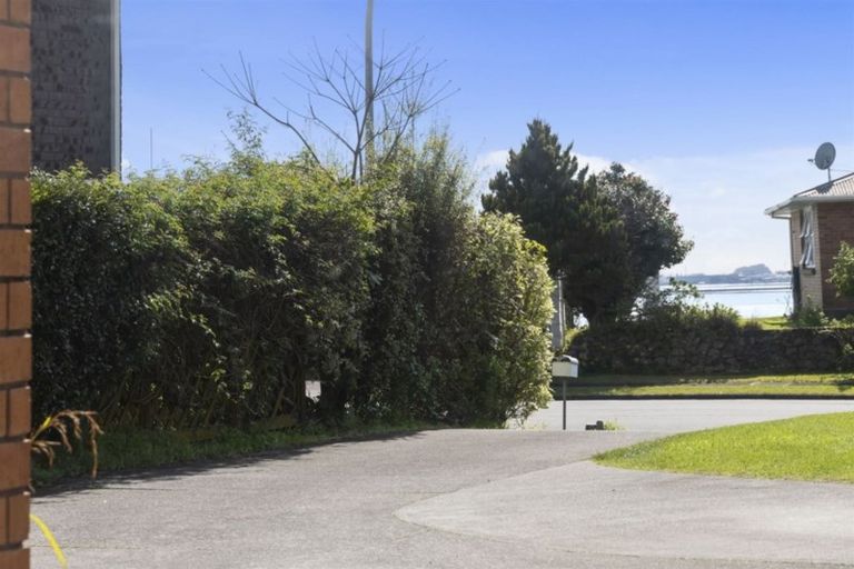 Photo of property in 54 Tutauanui Crescent, Maungatapu, Tauranga, 3112