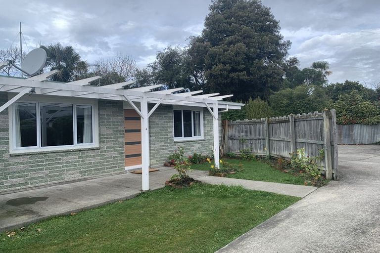 Photo of property in 52 Muller Road, Blenheim, 7201