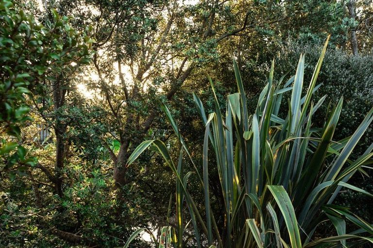 Photo of property in 15 Ian Place, Waihi Beach, 3611