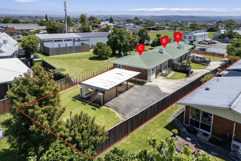 Photo of property in 219b Otumoetai Road, Otumoetai, Tauranga, 3110