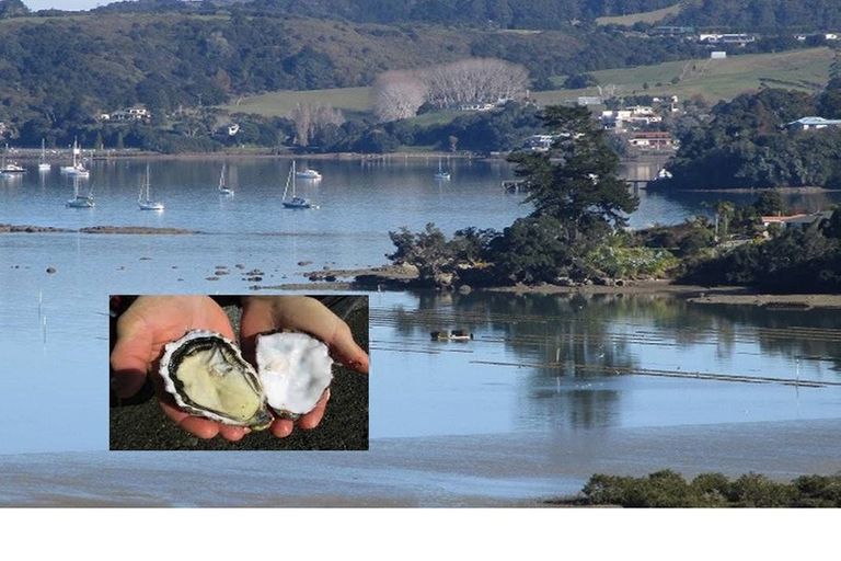 Photo of property in 50 Kiteone Road, Parua Bay, Whangarei, 0174