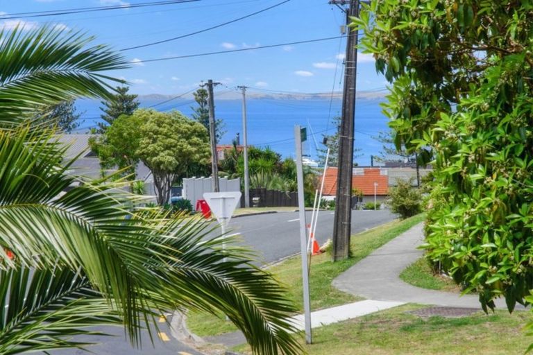 Photo of property in 86 Deep Creek Road, Torbay, Auckland, 0630