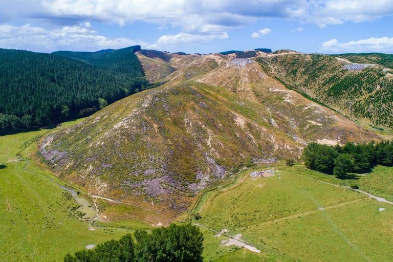 Photo of property in 3525 Masterton Castlepoint Road, Mangapakeha, Masterton, 5889