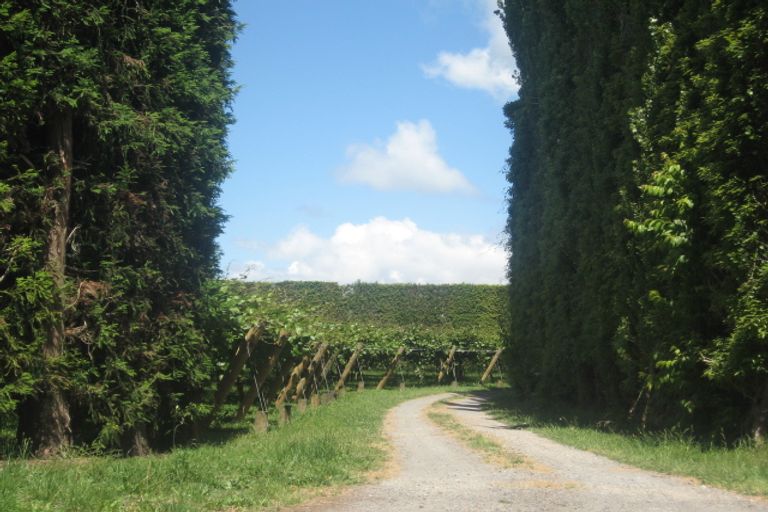 Photo of property in 1/399 No 1 Road, Te Puke, 3182