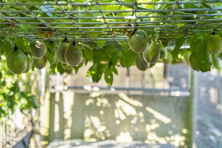 Photo of property in 16 Ranginui Road, Welcome Bay, Tauranga, 3112