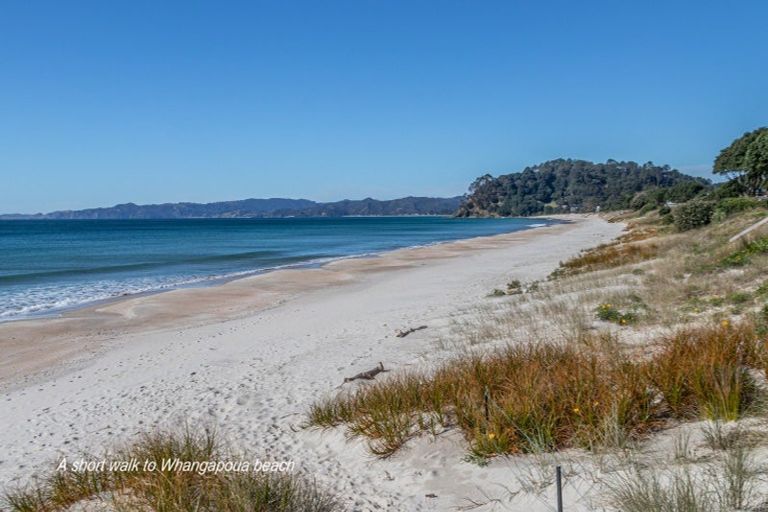 Photo of property in 124 Opera Place, Whangapoua, Coromandel, 3582