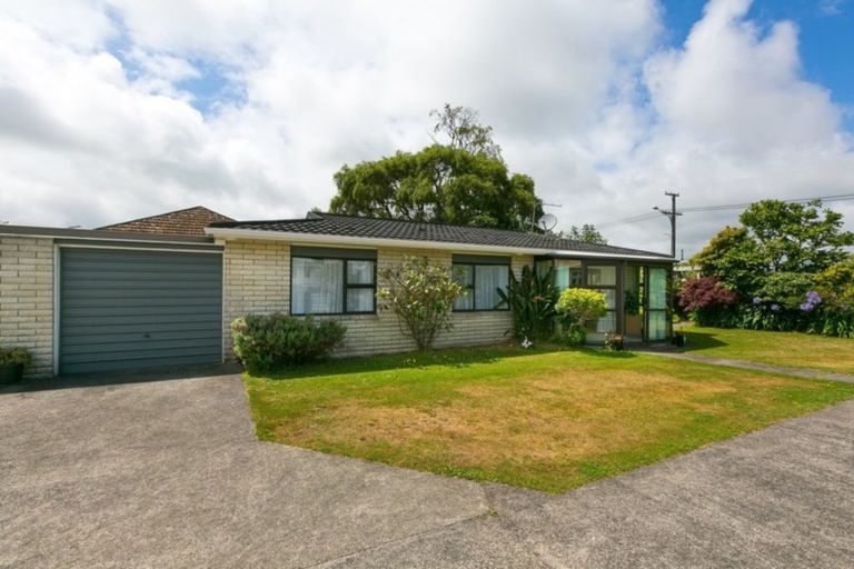 Photo of property in 142a Rata Street, Inglewood, 4330