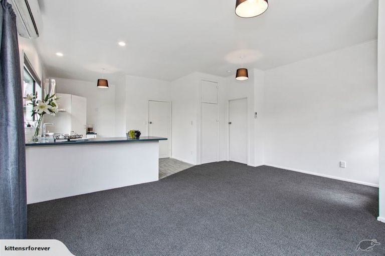 Photo of property in 1/47 Mackworth Street, Woolston, Christchurch, 8062