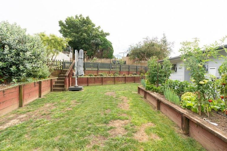 Photo of property in 15 Winning Terrace, Dinsdale, Hamilton, 3204