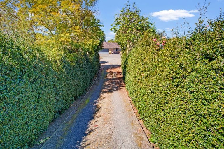 Photo of property in 233 Waipapa Block Road, Whakamarama, Tauranga, 3180
