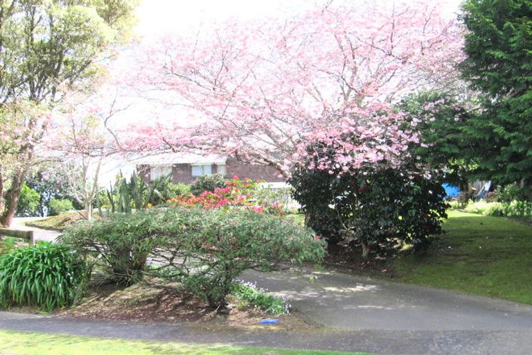 Photo of property in 1 Moiri Place, Maungatapu, Tauranga, 3112