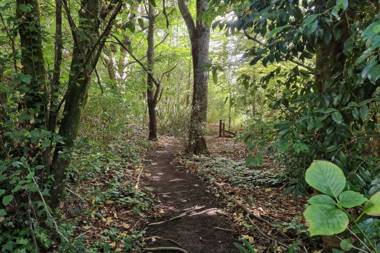 Photo of property in 844 Paradise Valley Road, Ngongotaha Valley, Rotorua, 3072