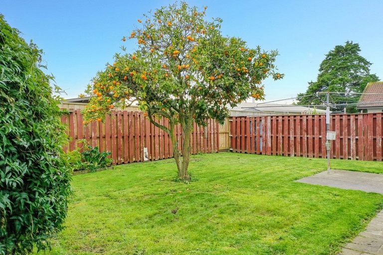 Photo of property in 18 Tawhara Place, Edgecumbe, 3120