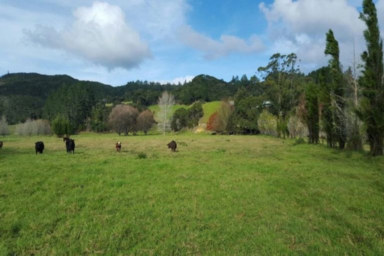 Photo of property in 112 Waikoura Road, Kaeo, 0478
