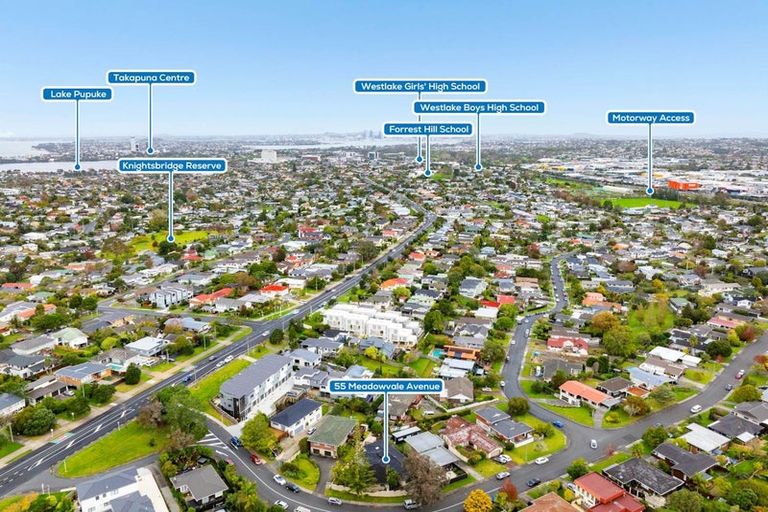 Photo of property in 55 Meadowvale Avenue, Forrest Hill, Auckland, 0620