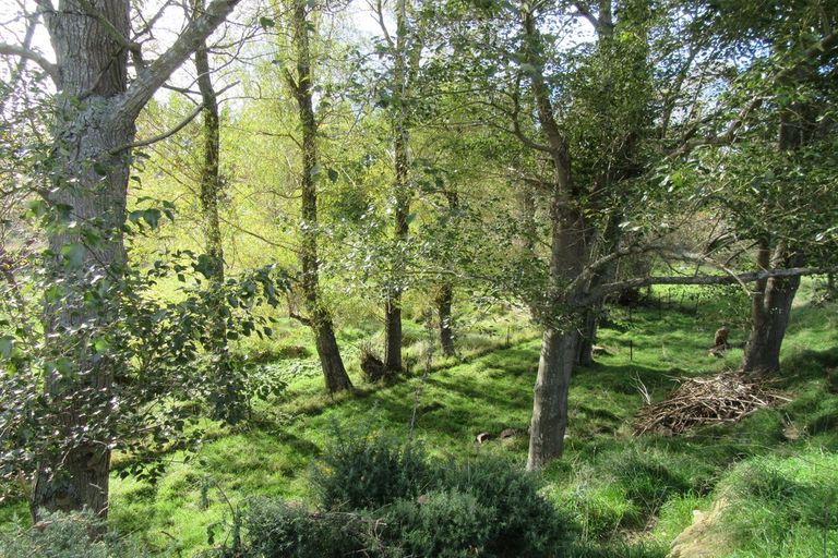 Photo of property in 26 Kirks Road, Waimate, 7978