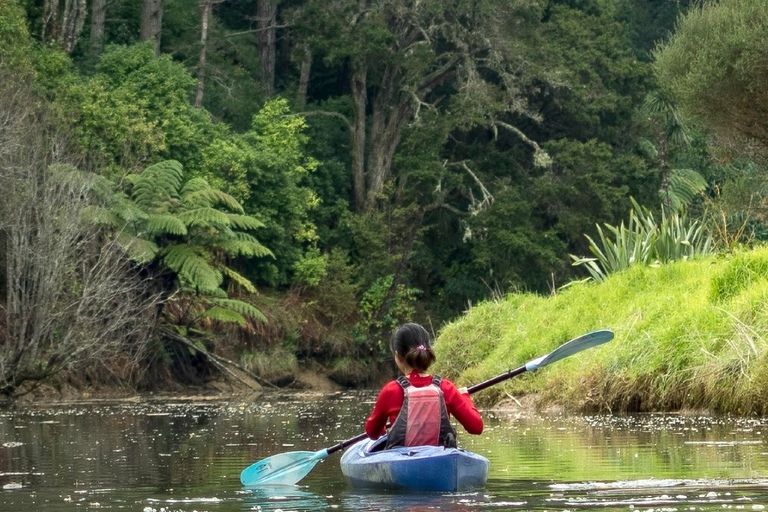 Photo of property in 84 Puhoi Road, Puhoi, Warkworth, 0994