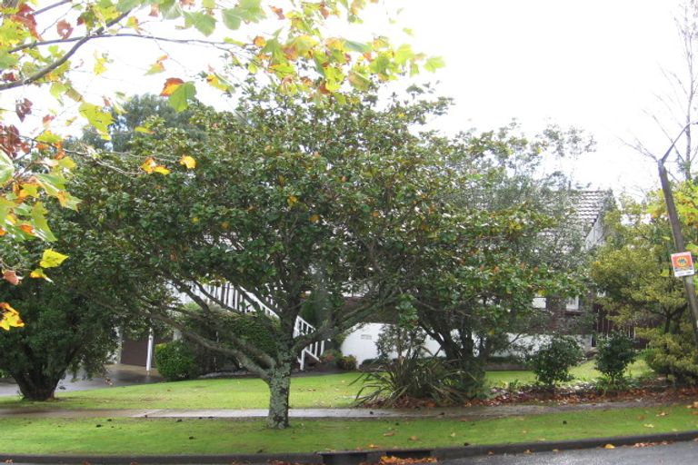 Photo of property in 70 Kurnell Drive, Botany Downs, Auckland, 2010