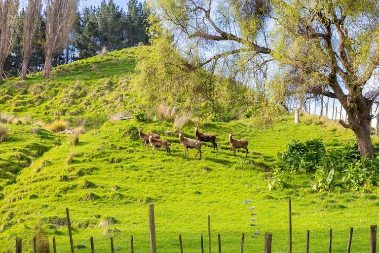 Photo of property in 33 Durie Vale Road, Durie Hill, Whanganui, 4500