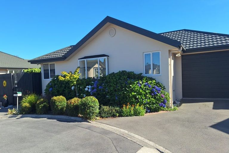Photo of property in 38m English Street, Sockburn, Christchurch, 8042