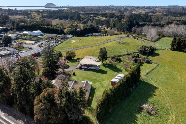 Photo of property in 19 Minden Road, Minden, Tauranga, 3176