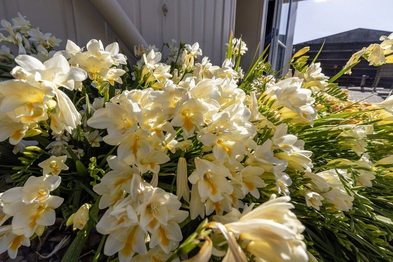 Photo of property in 23a Manawa Avenue, Raumati Beach, Paraparaumu, 5032