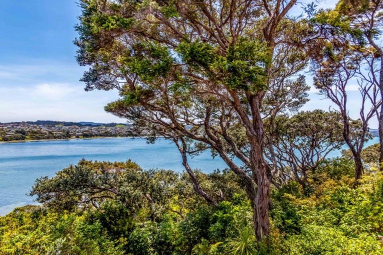 Photo of property in 60 Fidelis Avenue, Snells Beach, 0920