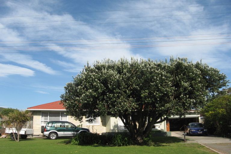 Photo of property in 41 Murphy Road, Wainui, Gisborne, 4010