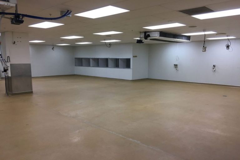 Photo of property in The Lofts, 1/185 Victoria Street, Te Aro, Wellington, 6011