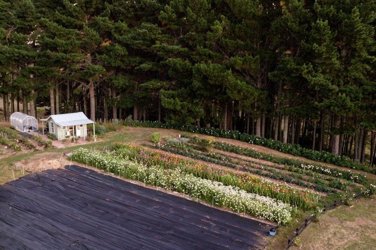 Photo of property in 808 French Pass Road, Karapiro, Cambridge, 3496