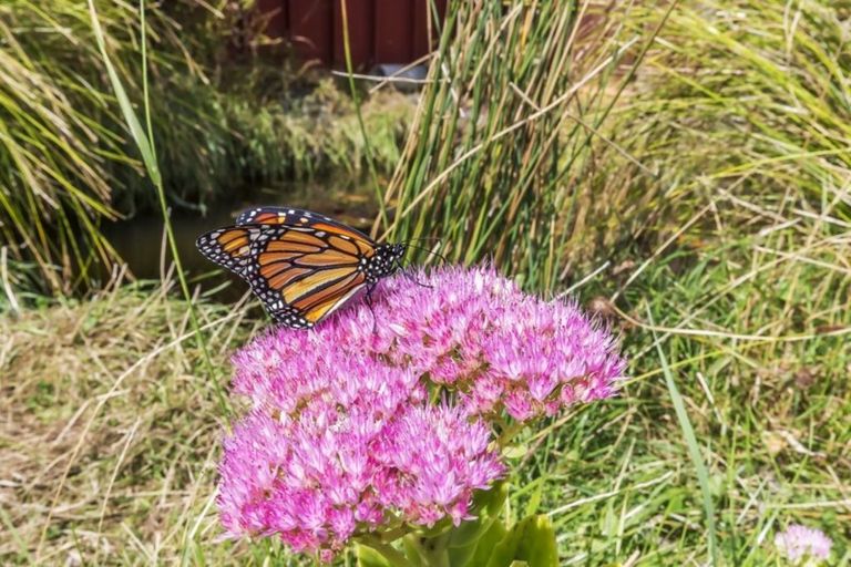Photo of property in 3/61 Main Road, Titahi Bay, Porirua, 5022
