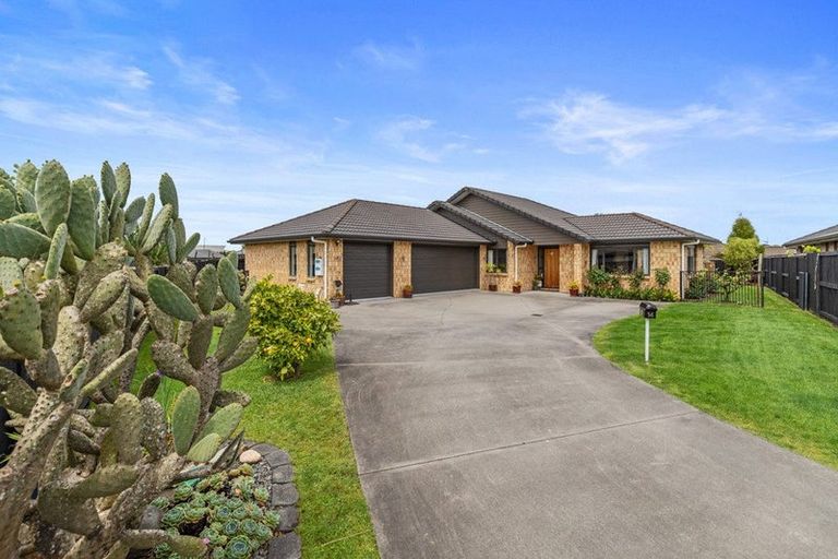 Photo of property in 14 Viking Lane, Flagstaff, Hamilton, 3210