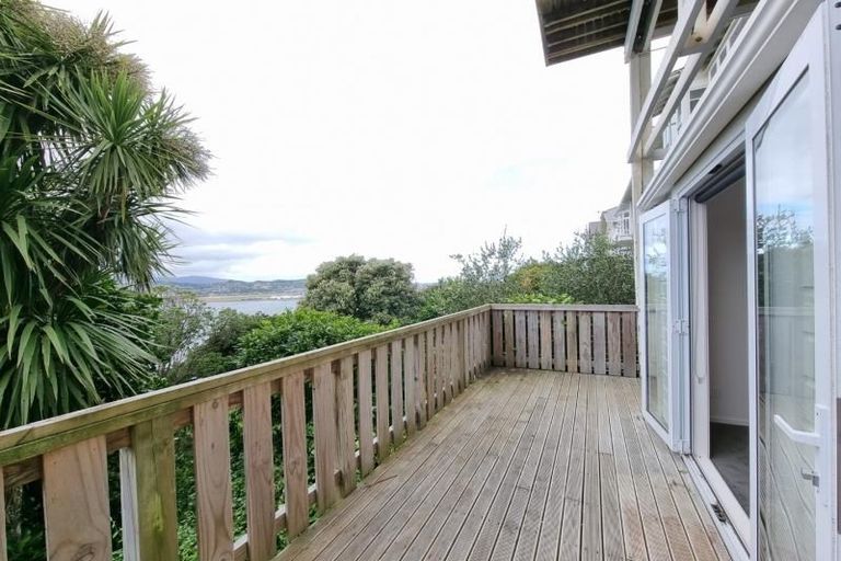 Photo of property in 43 Overtoun Terrace, Hataitai, Wellington, 6021