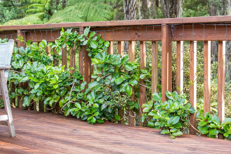 Photo of property in 31a Konini Road, Titirangi, Auckland, 0604