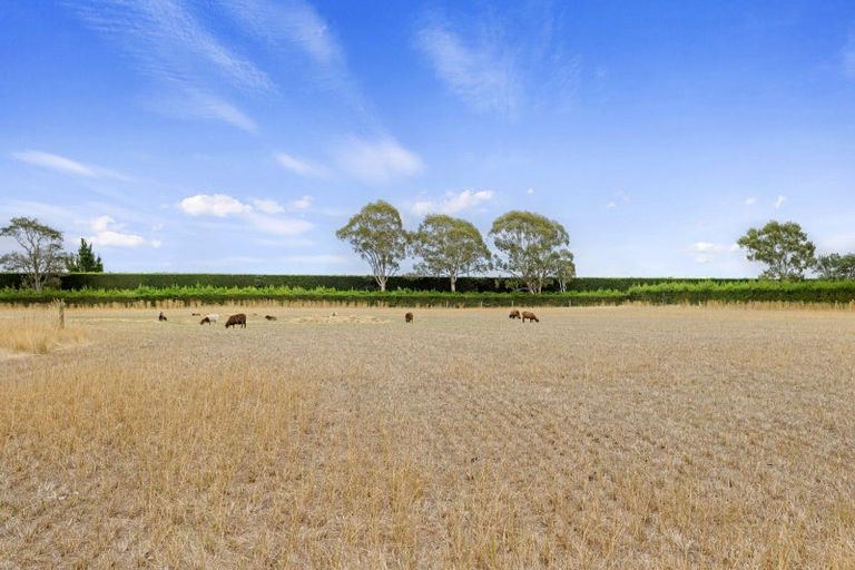 Photo of property in 975 South Eyre Road, Swannanoa, Rangiora, 7476