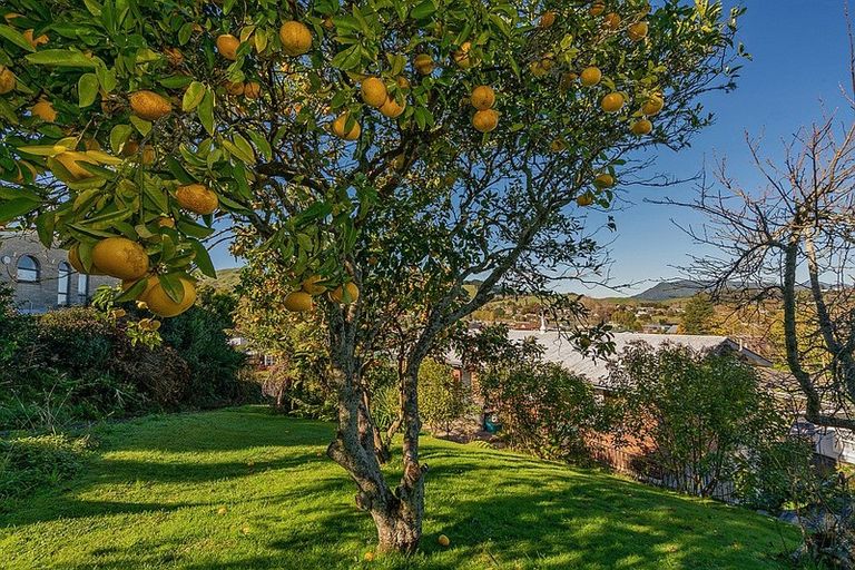 Photo of property in 12 Claremont Avenue, Paeroa, 3600