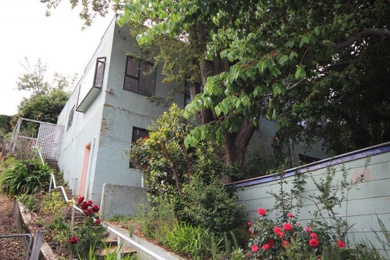 Photo of property in 9 Antrim Street, Normanby, Dunedin, 9010