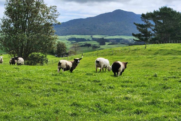 Photo of property in 697 Maungatawhiri Road, Raglan, 3295