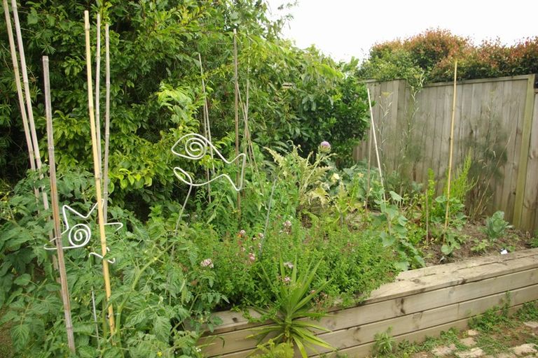 Photo of property in 11 Cambria Road, Devonport, Auckland, 0624