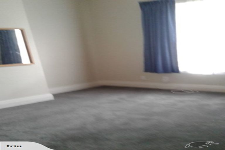 Photo of property in 1 Nile Street, Saint Clair, Dunedin, 9012