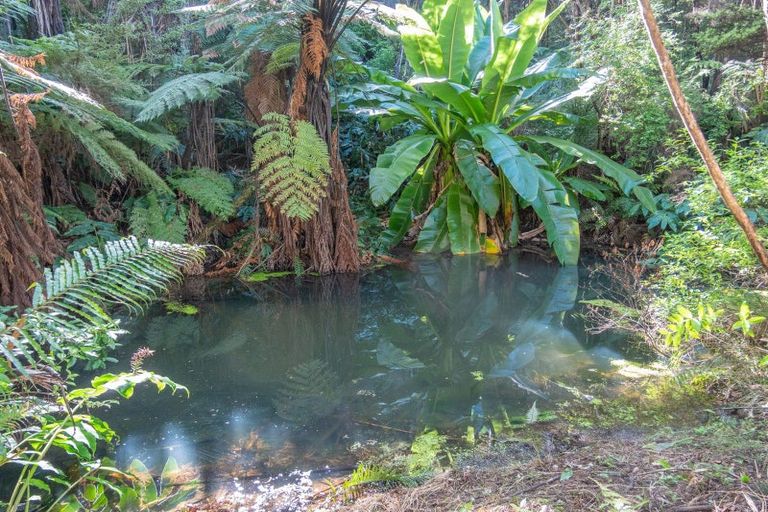 Photo of property in 458f Hihi Road, Hihi, Mangonui, 0494