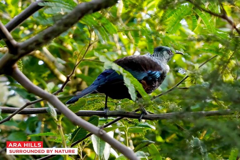 Photo of property in 1 Kauru Lane, Wainui, 0992