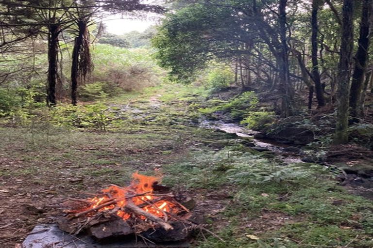 Photo of property in 99 Franklin Road, Parua Bay, Onerahi, 0192