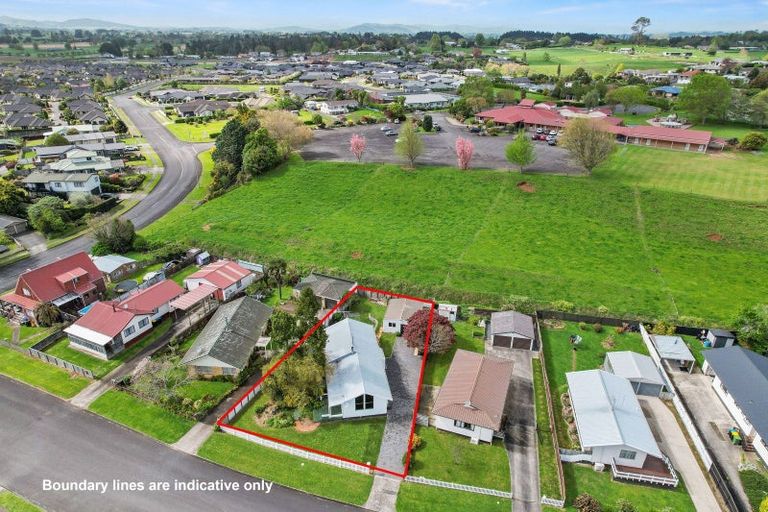 Photo of property in 59 Sinclair Terrace, Te Awamutu, 3800
