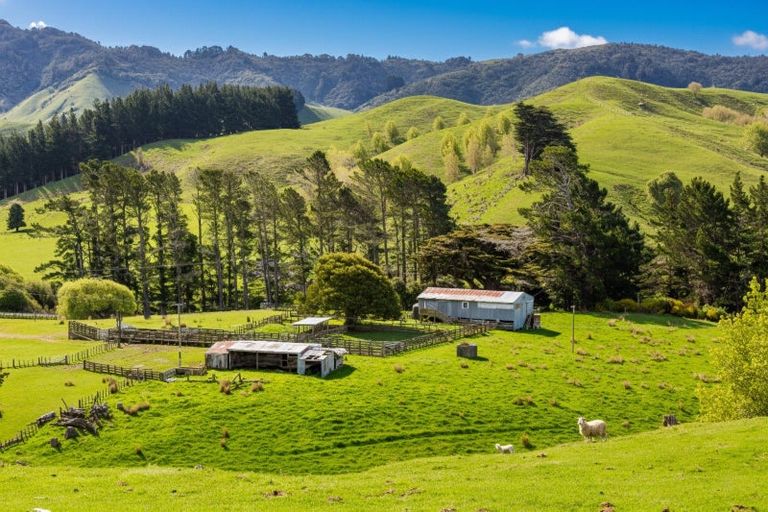 Photo of property in 390 North Road, North East Valley, Dunedin, 9010