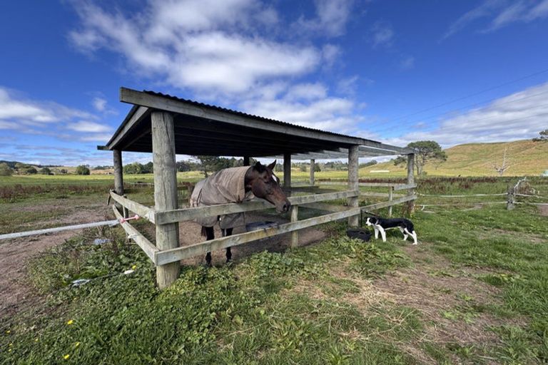 Photo of property in 259 Mcphail Road, Oropi, Tauranga, 3173